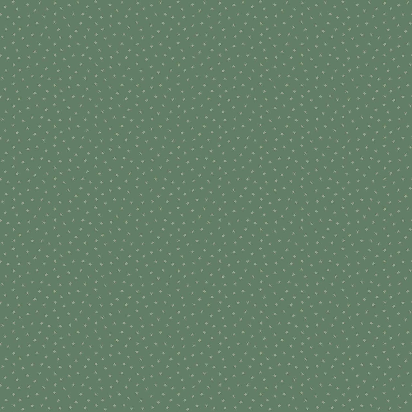 “Twinkle” by Edyta Sitar of Laundry Basket Quilts