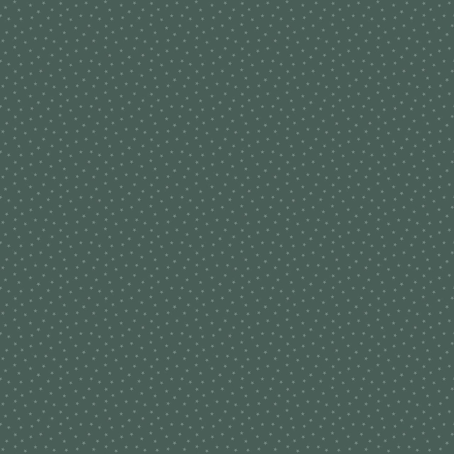 “Twinkle” by Edyta Sitar of Laundry Basket Quilts